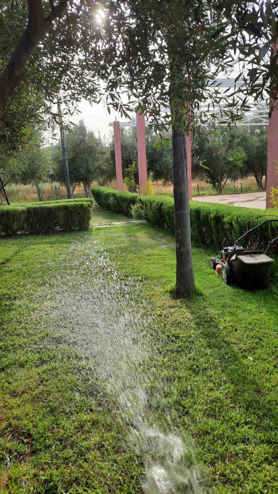 Maison D'Hotes La Ferme Aziza Fès Dış mekan fotoğraf