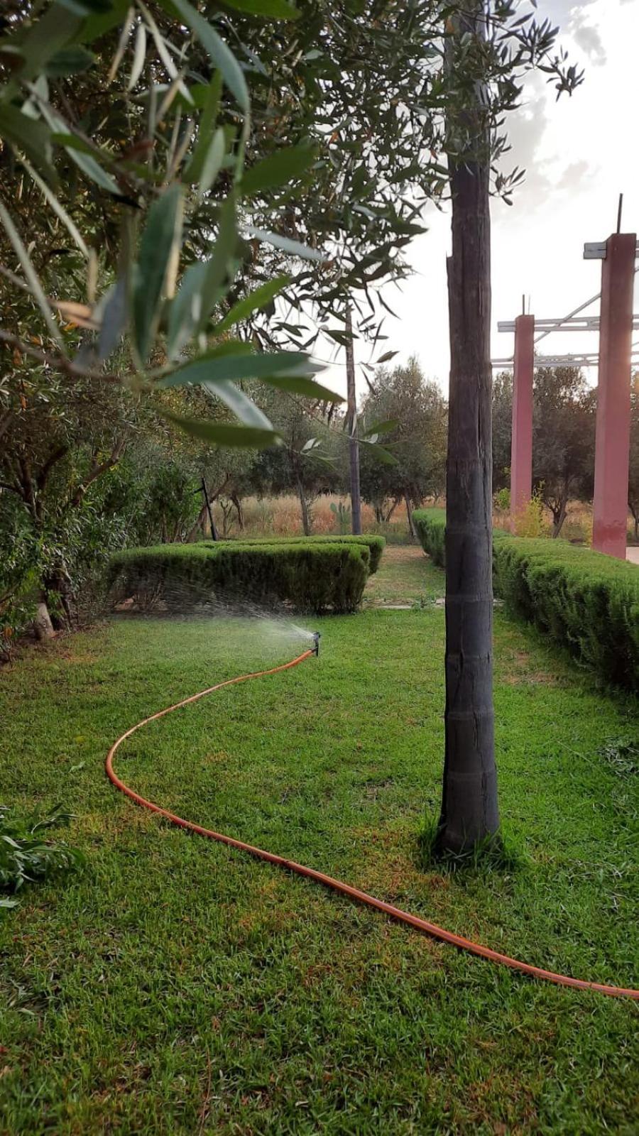 Maison D'Hotes La Ferme Aziza Fès Dış mekan fotoğraf