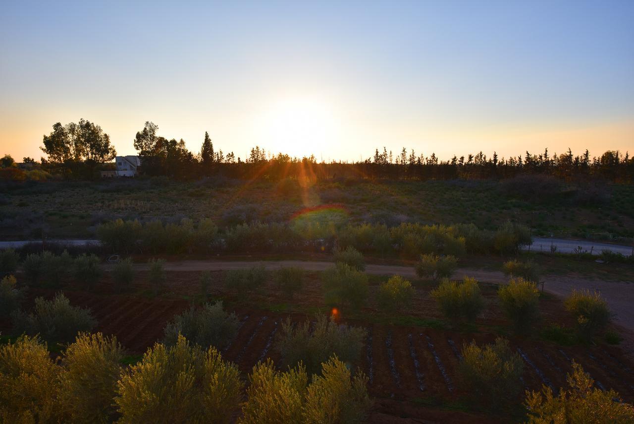 Maison D'Hotes La Ferme Aziza Fès Dış mekan fotoğraf